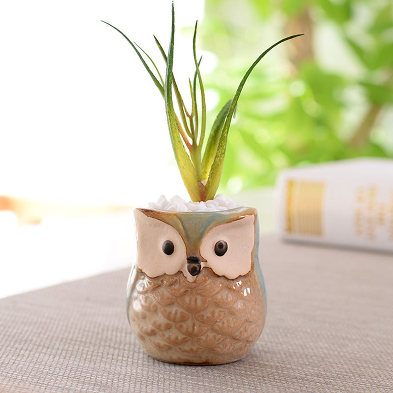 6-Piece Owl Ceramic Planter Set