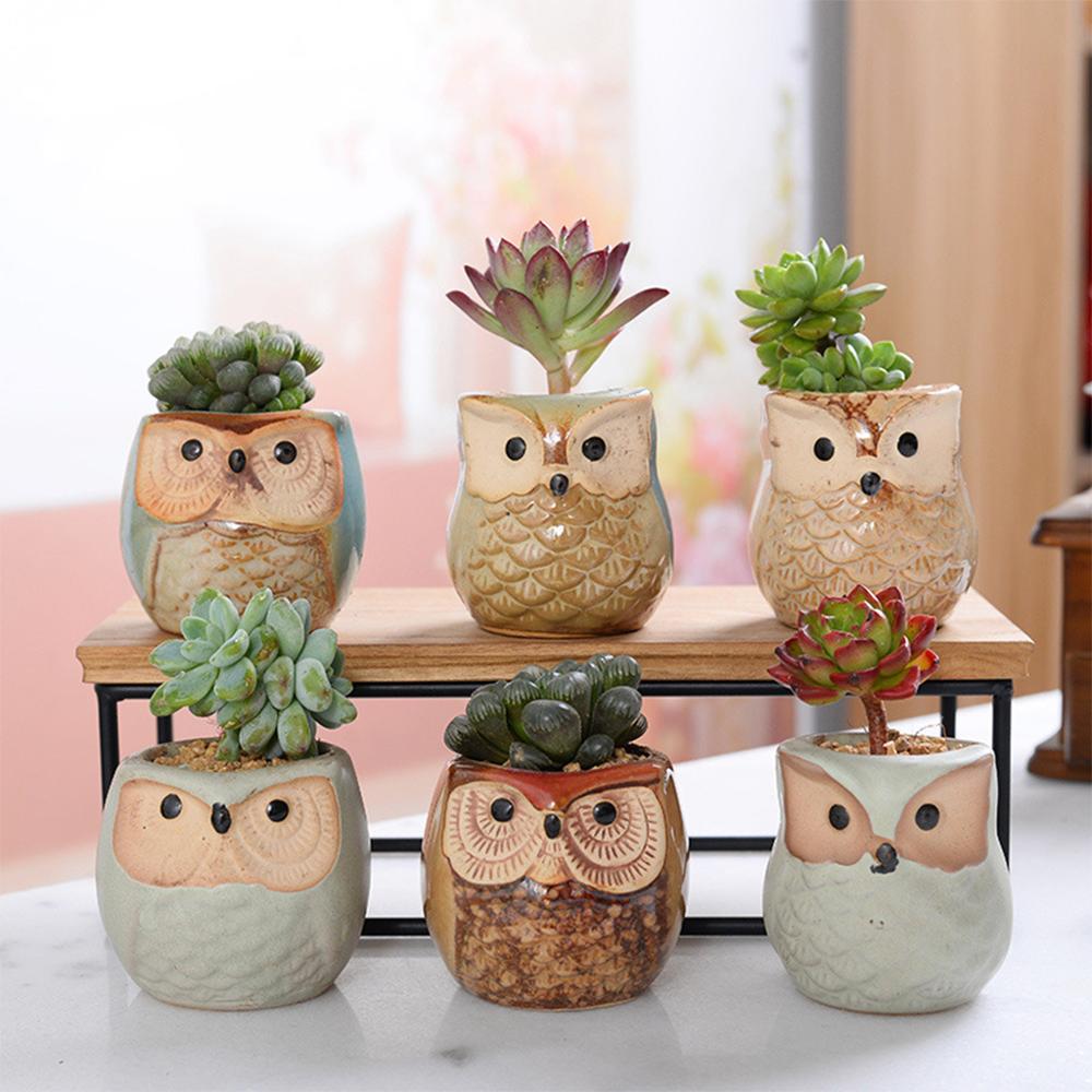 Set of 6 small ceramic owl succulent planters with drainage holes and glazed finish for indoor garden and desk decor