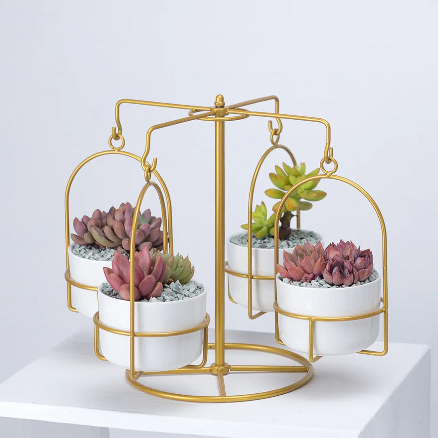Rotating Carousel Ceramic Planter Set