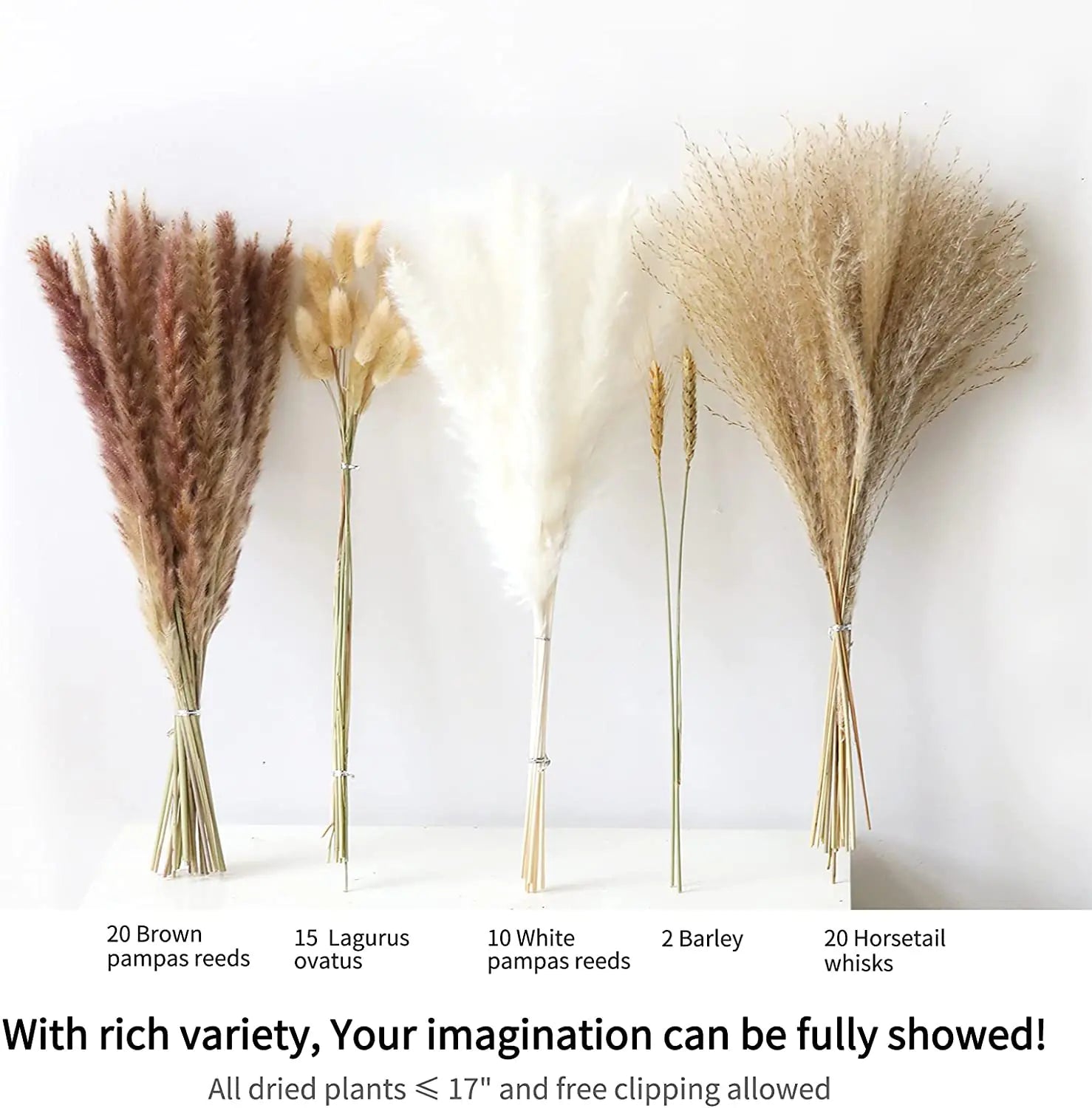 Natural Dried Pampas Grass Bouquet