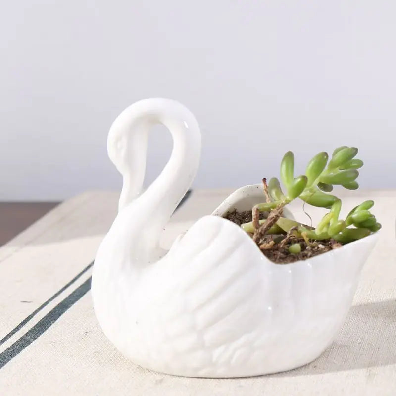 White Swan Ceramic Decor & Flower Pot