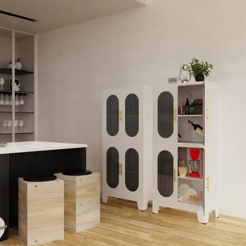 Metal Storage Cabinet
