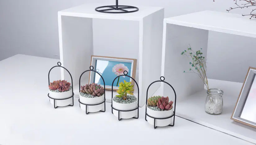 Rotating Carousel Ceramic Planter Set | Modern Succulent Pots