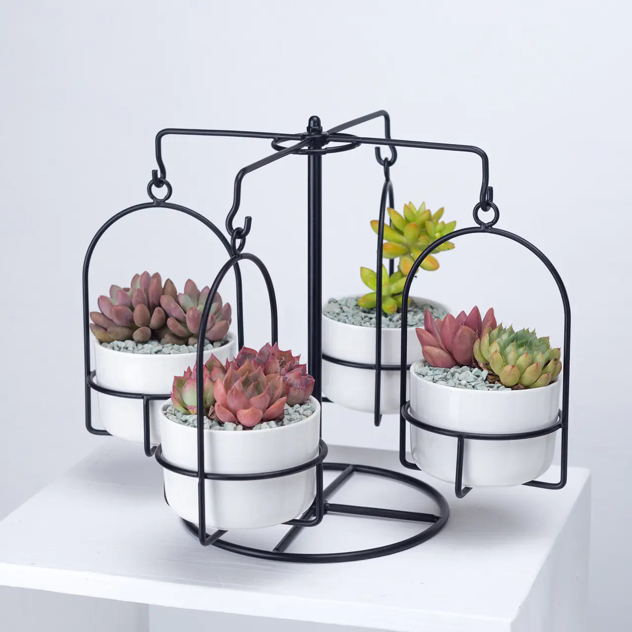Rotating Carousel Ceramic Planter Set | Modern Succulent Pots